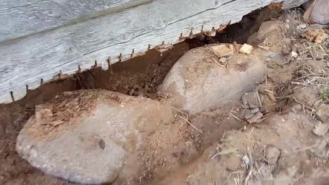 Ремонт деревянного сруба Как убрать гниль в нижнем венце сруба. Вырезаем труху для вставки бруса. смотреть онлайн