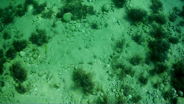 Симеиз 16 Сентября 2020 Крым Бархатный сезон.