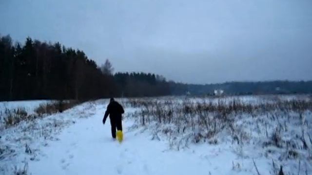Larus marinus flies again смотреть онлайн
