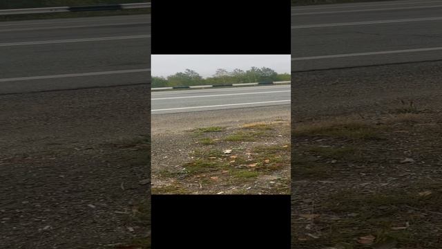 04-06-2024 смотреть онлайн