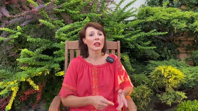 ПАУТИННОГО КЛЕЩА не будет! Как избавиться от клеща на хвойных, розах, в саду. смотреть онлайн
