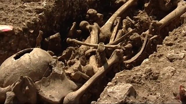 Archéologie Du Moyen Âge : Les Tombes Mérovingiennes De Lagny-sur-Marne
