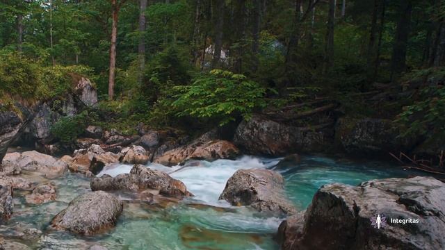 Пять уровней сознания / Матрёшка. Техники активации сознания (ТАC) | Ирина Колесник смотреть онлайн