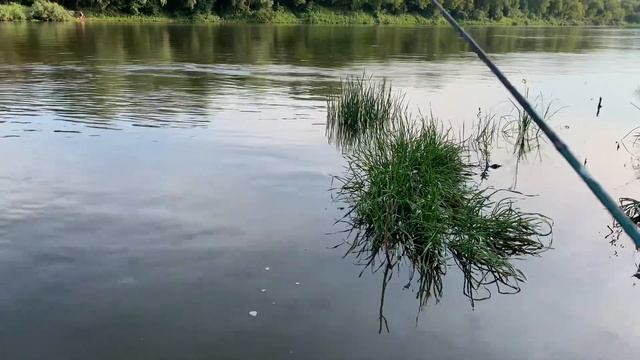 #37 #мормышинг | Не крупная плотва на мормышку | Окунь на мормышку | Африка с нами | Чудный вечер | смотреть онлайн