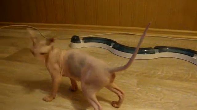 Живая статуэтка смотреть онлайн