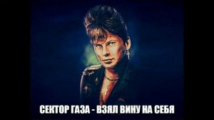 Сектор газа - взял вину на себя