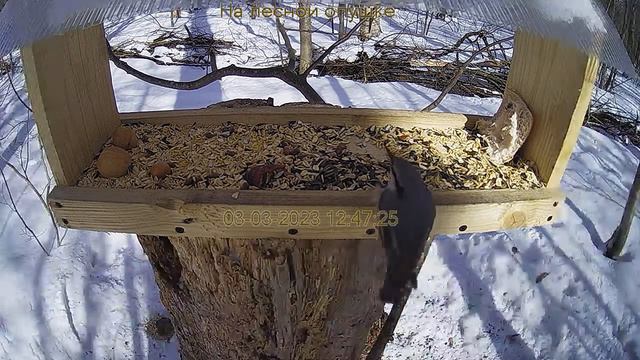 Кафе "Лесное" смотреть онлайн