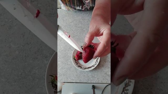 Размножаем КЛУБНИКУ семенами! Легко и просто! Shorts смотреть онлайн