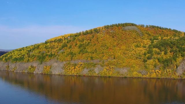Золотая осень на Нижнем Амуре//beautiful nature of the Amur river//video from drone Mavic 2 Pro смотреть онлайн