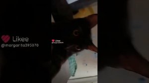 не по пацански