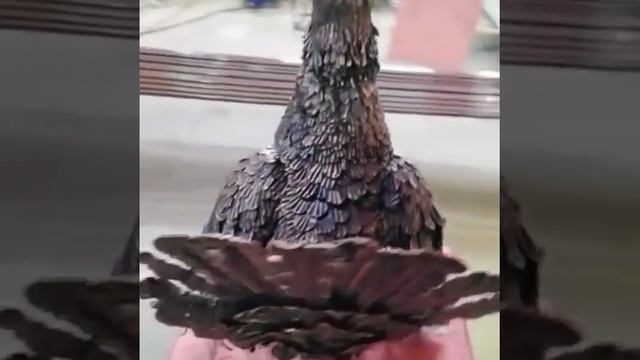 Скульптура из металла "Глухарь ' смотреть онлайн