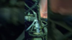 Как слить антифриз если нет сливной пробки.