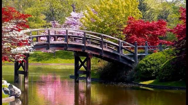 Vivaldi's Four Seasons - Spring (Part 1) смотреть онлайн