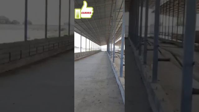 ferma sotiladi.мол боқиш фирмаси сотилади.тел 919460525 смотреть онлайн