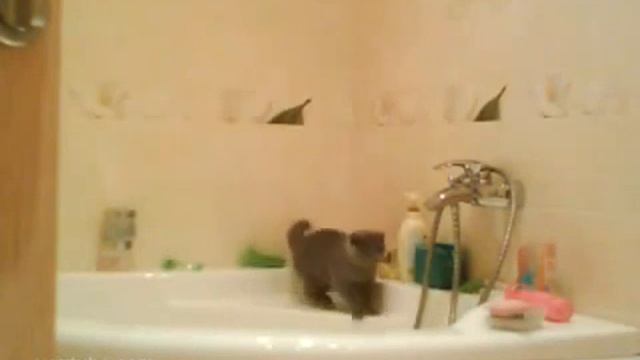 Accident In The Bathroom Случай в ванной смотреть онлайн
