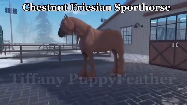 Every Coat Color in Maple Springs Eventing! || Roblox смотреть онлайн