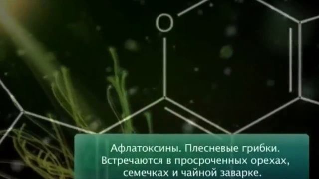 5 советов как выбирать "здоровые" семечки и орехи смотреть онлайн