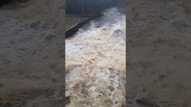 Дарёои .дахшат смотреть онлайн