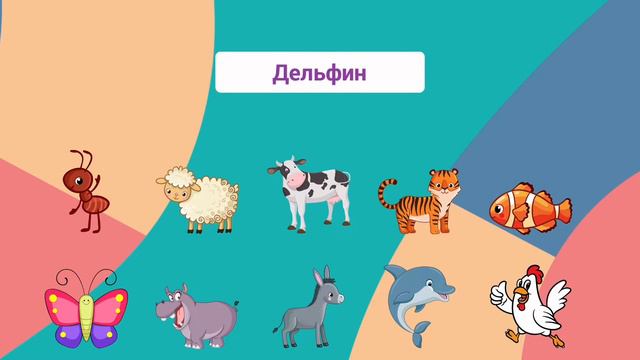 Находим правильное животное по заданию смотреть онлайн
