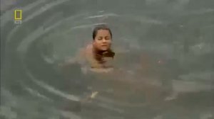 Амазонка –- это самая длинная река, которая имеет 20% всей пресной воды на планете