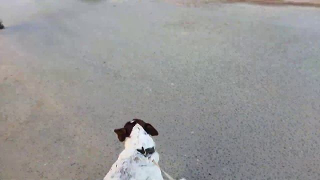 Идëм в 6-30 с Хоритой в Магнит, -4 мороз смотреть онлайн