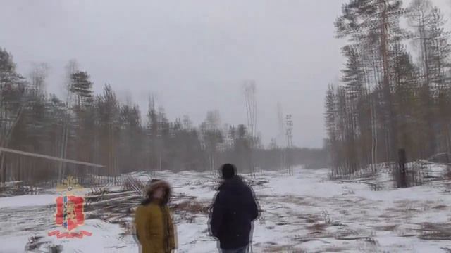 Контрабанда леса в Красноярском крае смотреть онлайн