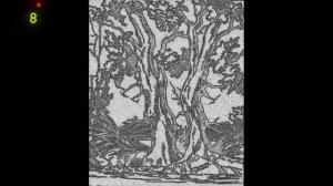 Где девушки на картинках  5 оптических иллюзий  Проверь свое зрение