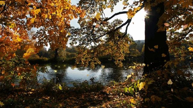 Футаж Листопад смотреть онлайн