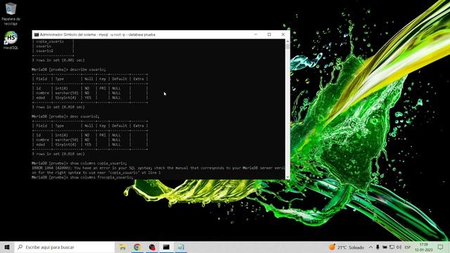 Describe Mariadb/Mysql смотреть онлайн