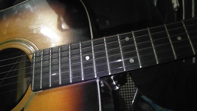 [Test] Acoustic Yamaki (Deluxe Folk F-118) No.116s