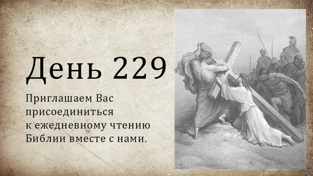 День 229 - (3 Цар 12; Иер 38; Мк 12) смотреть онлайн