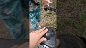 Обзор долгожданного питбайк Regulmoto Seven Pro 17/14