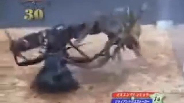 Скорпион против жука оленя смотреть онлайн