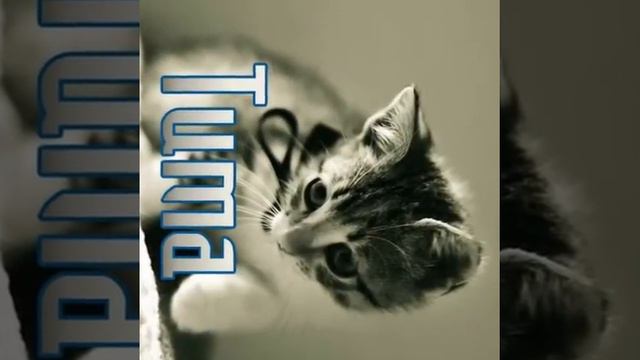 Просто видео) смотреть онлайн