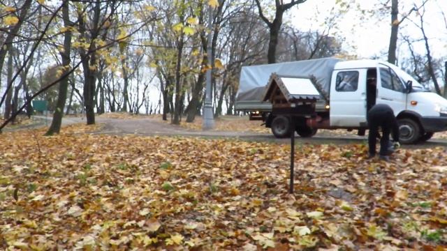 Белка/Синицы/Вороны - парковая зарисовка смотреть онлайн
