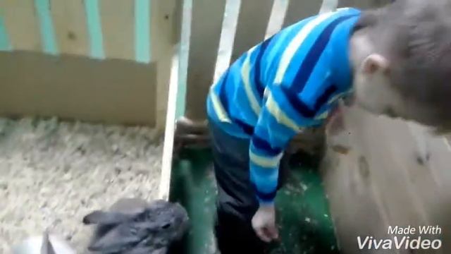 Поход в трогательный зоопарк // кролики нападают смотреть онлайн