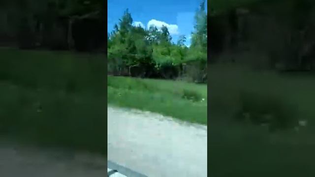 2М62У-0291 с грузовым поездом едет через станцию Айзкраукле. (15:07) смотреть онлайн