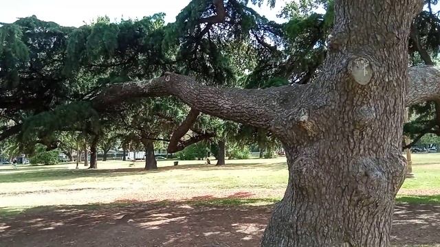 кто понял жизнь, тот не спешит - пословица смотреть онлайн