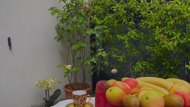 Италия Падуя разоблачение белой и пушистой скворчихи и самозванки "психиатра " синицы смотреть онлайн
