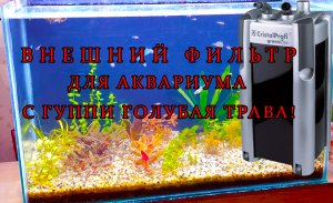 Устанавливаю внешний фильтр в аквариум с Гуппи Голубая Трава Blue grass Guppy