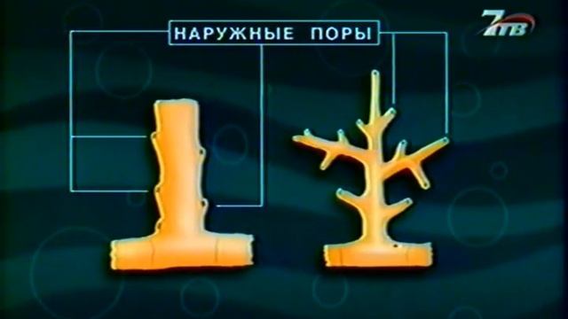 Камчатка, бычок смотреть онлайн