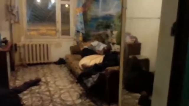 Видео Ирины Елаш: 80-летняя женщина живет в одной комнате с бомжами смотреть онлайн