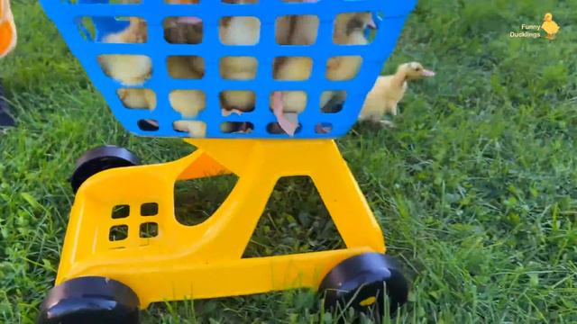 Ducklings from the supermarket 2.0 смотреть онлайн