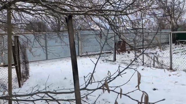 Навес над курятником/Как зимуют наши куры/Зимний огород/Заячьи следы/Незнакомый след/