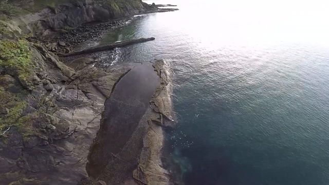 HIBISCUS COAST - NZ SNAPPER ACTION - SKY CAM, ROCK & BOAT FISHING смотреть онлайн