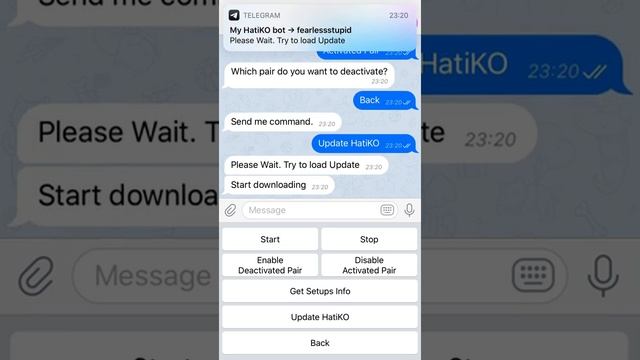 Hatiko bot telegram UI demonstration смотреть онлайн