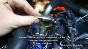 Удаление сажевого фильтра на новой Газель Cummins euro5. Пробег: 460 км. !!!