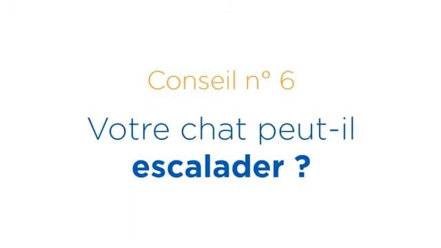 Soulager le stress des chats - Conseil N°6 смотреть онлайн