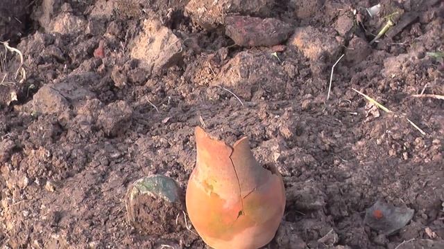 Шурф фундамента !!! с металлоискателем X-TERRA 705!!! нашел царские монеты в Урочище!!! коп 2021!!! смотреть онлайн