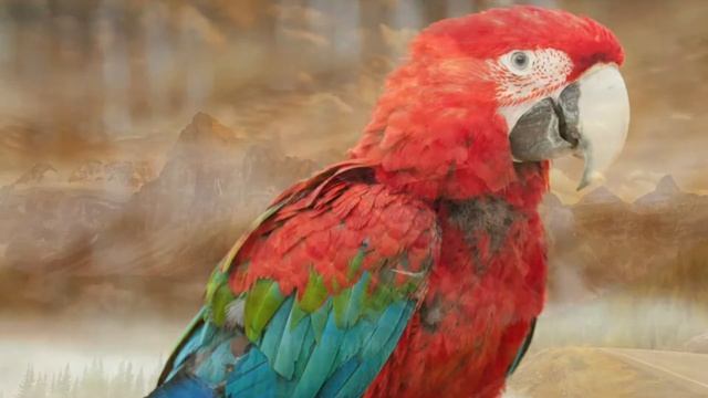 Я мечтала о морях и кораллах | Солнечный зайчик